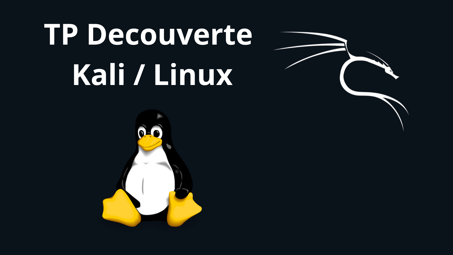Cyber Sécurité